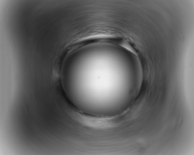 X0000099950040200805301244