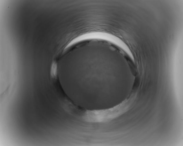 X0000099950041200805301244