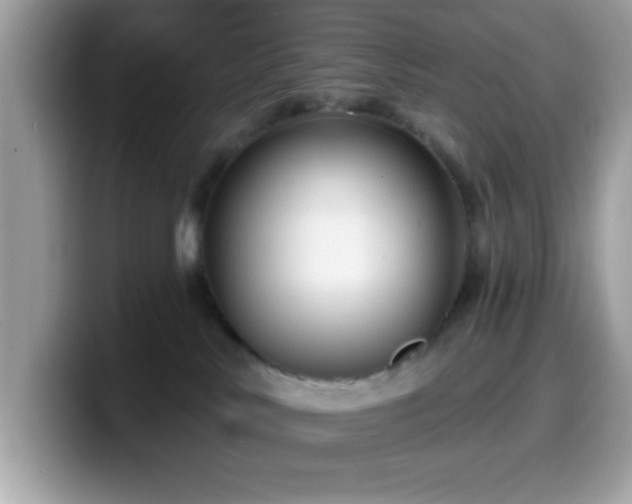 X0000099950042200805301244