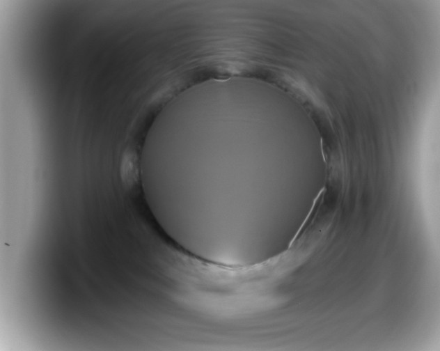 X0000099950043200805301244