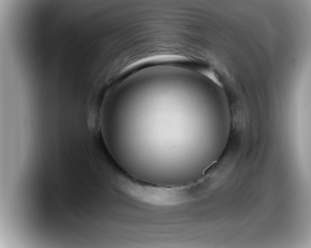 X0000099950044200805301244