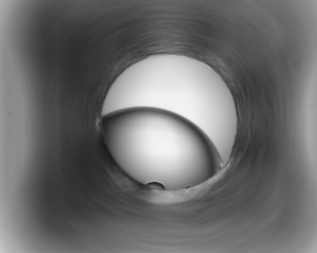 X0000099950045200805301244