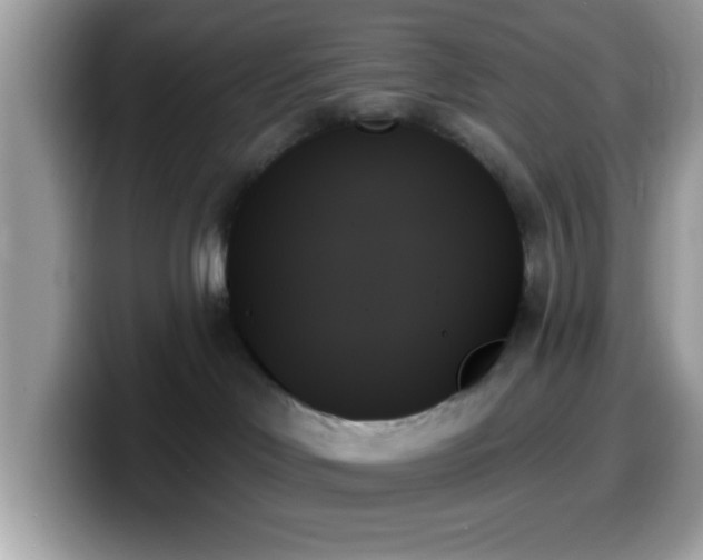 X0000099950046200805301244
