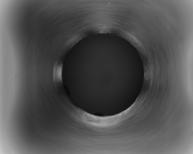 X0000099950047200805301244