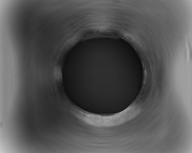 X0000099950048200805301244