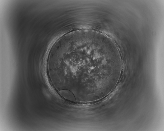 X0000099950049200805301244