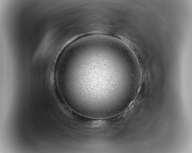 X0000099950050200805301244