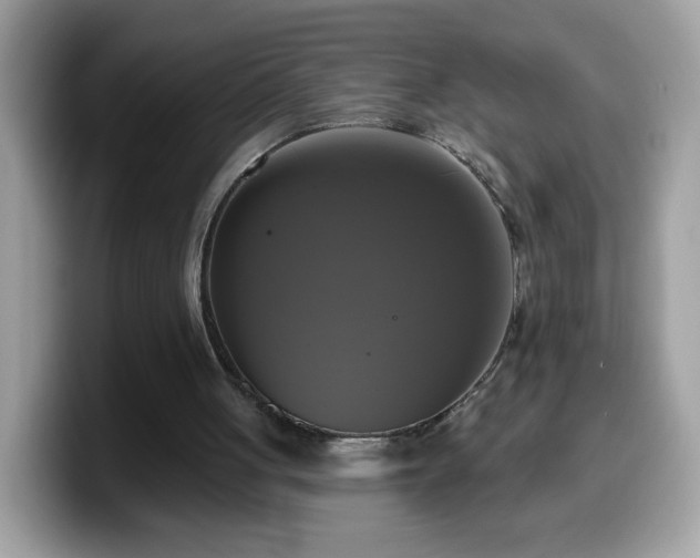 X0000099950051200805301244