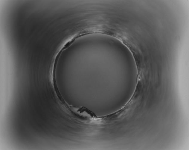 X0000099950052200805301244