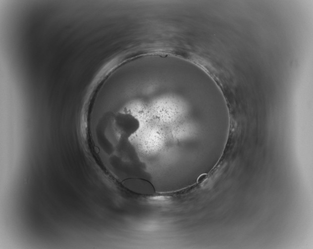 X0000099950053200805301244