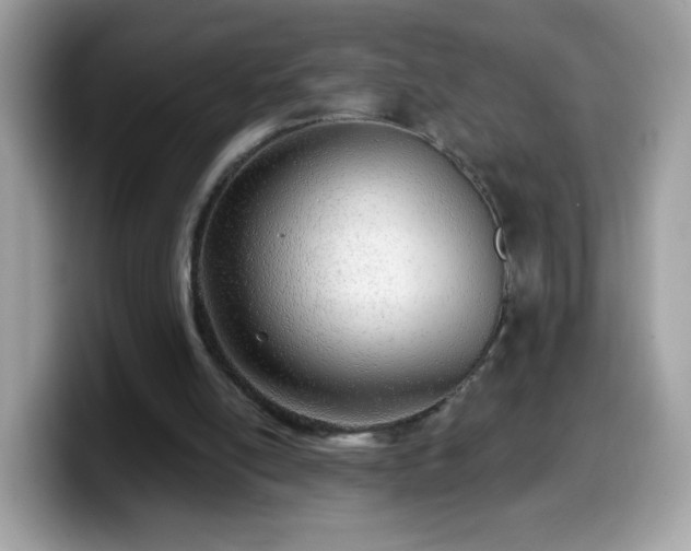 X0000099950054200805301244