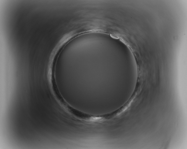 X0000099950055200805301244