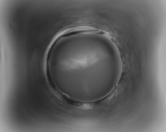 X0000099950056200805301244