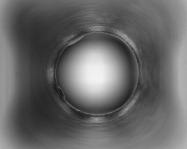 X0000099950057200805301244