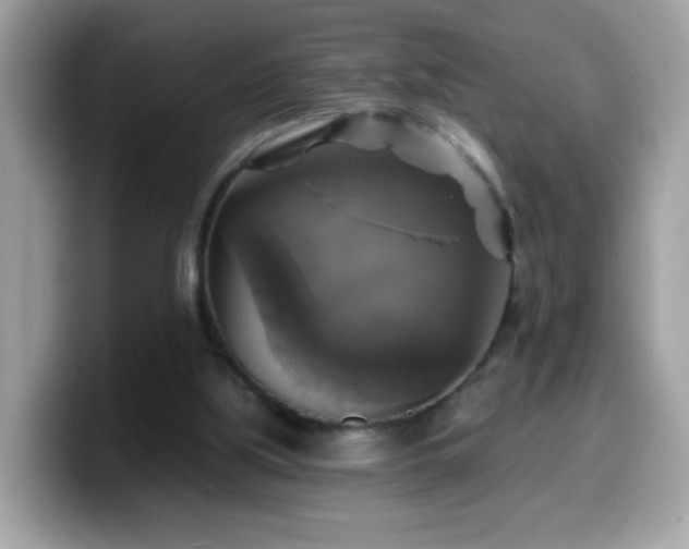 X0000099950059200805301244
