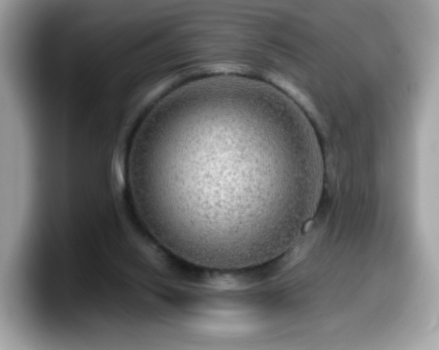 X0000099950062200805301244