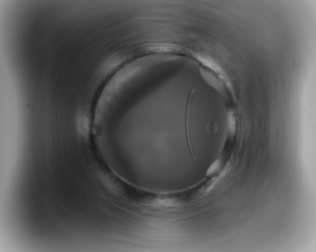 X0000099950063200805301244