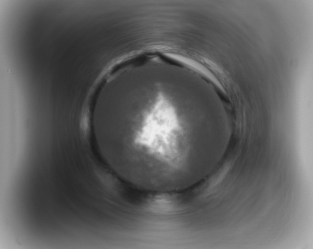 X0000099950064200805301244