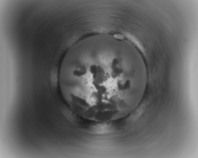 X0000099950065200805301244