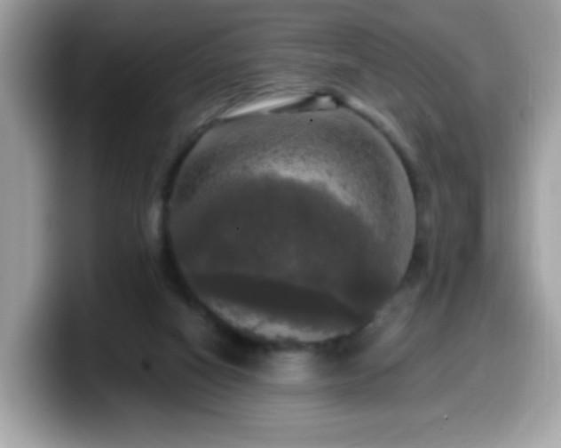 X0000099950066200805301244