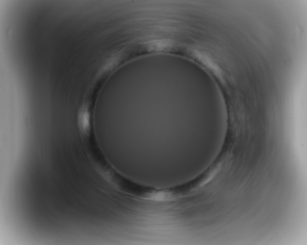 X0000099950067200805301244