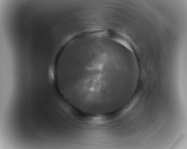 X0000099950068200805301244