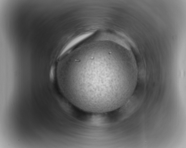 X0000099950070200805301244