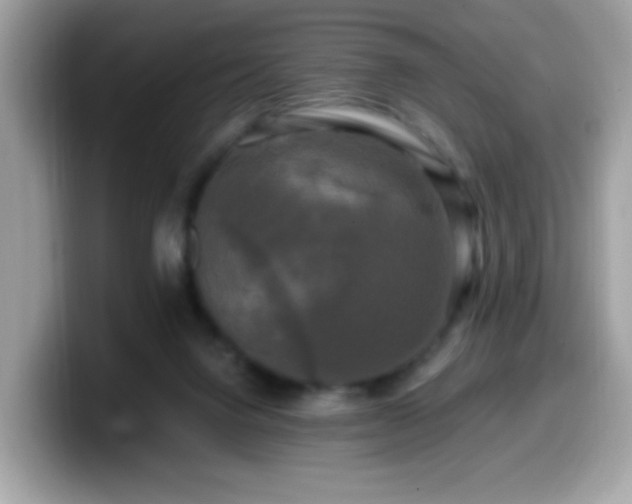 X0000099950072200805301244