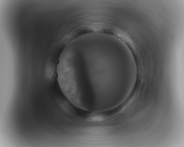 X0000099950073200805301244