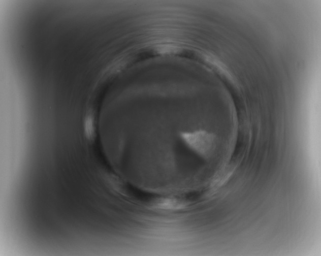 X0000099950074200805301244