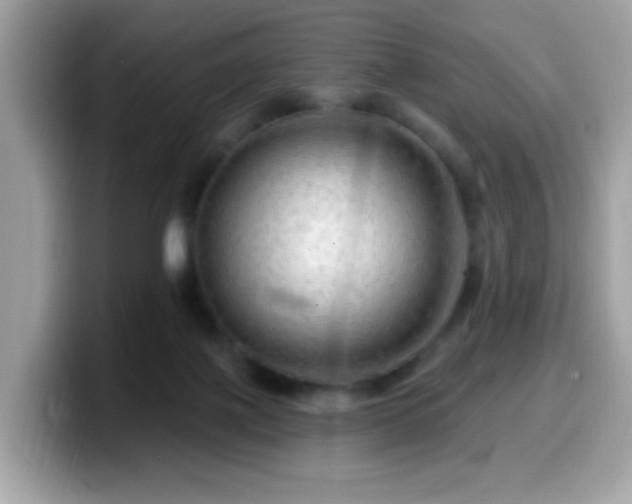 X0000099950075200805301244