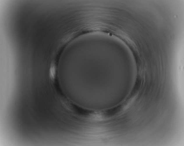 X0000099950076200805301244