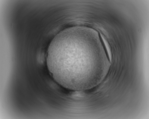 X0000099950077200805301244