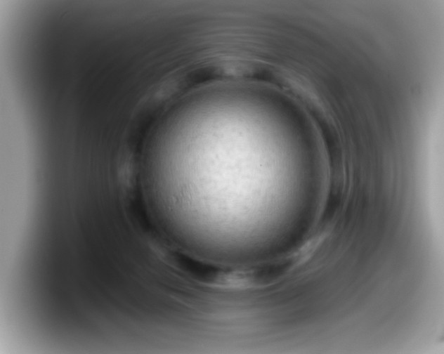 X0000099950078200805301244