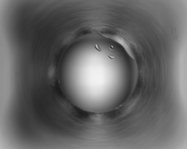 X0000099950079200805301244