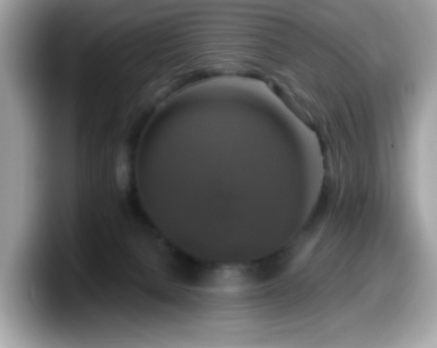 X0000099950080200805301244