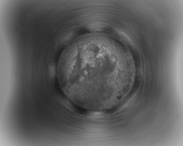 X0000099950081200805301244