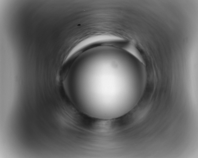 X0000099950084200805301244