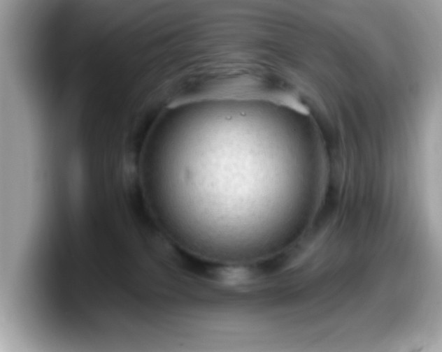 X0000099950085200805301244