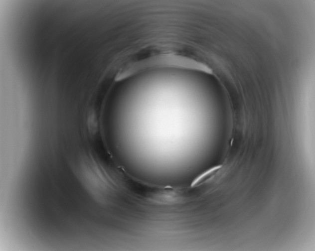X0000099950086200805301244
