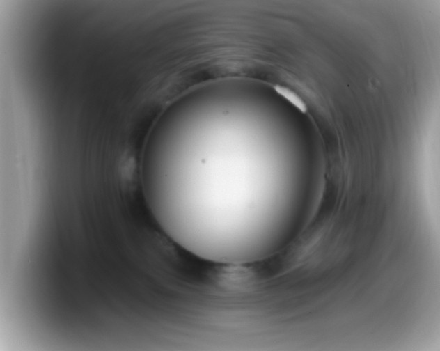 X0000099950087200805301244