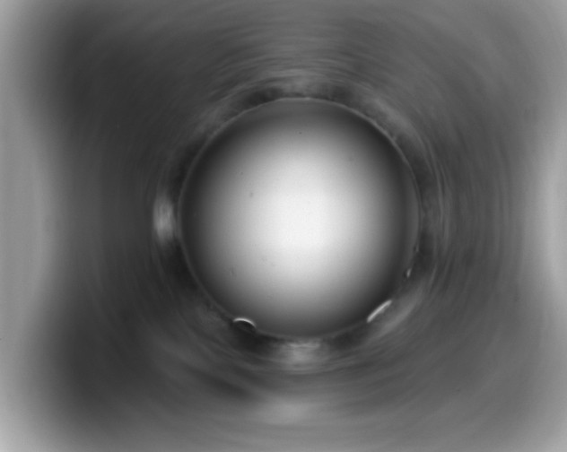X0000099950089200805301244