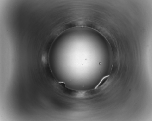 X0000099950090200805301244