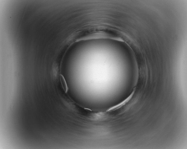 X0000099950092200805301244