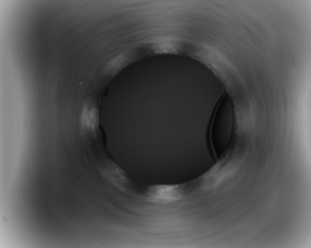 X0000099950093200805301244