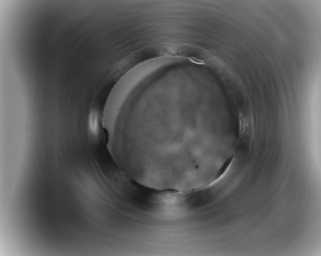 X0000099950094200805301244