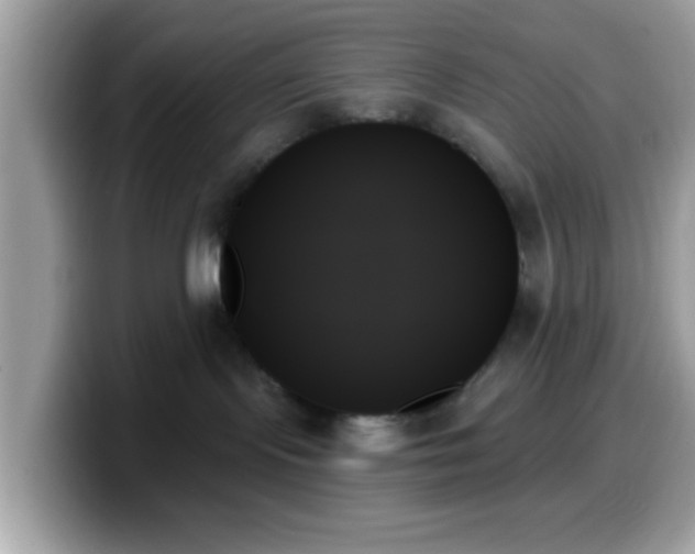 X0000099950095200805301244
