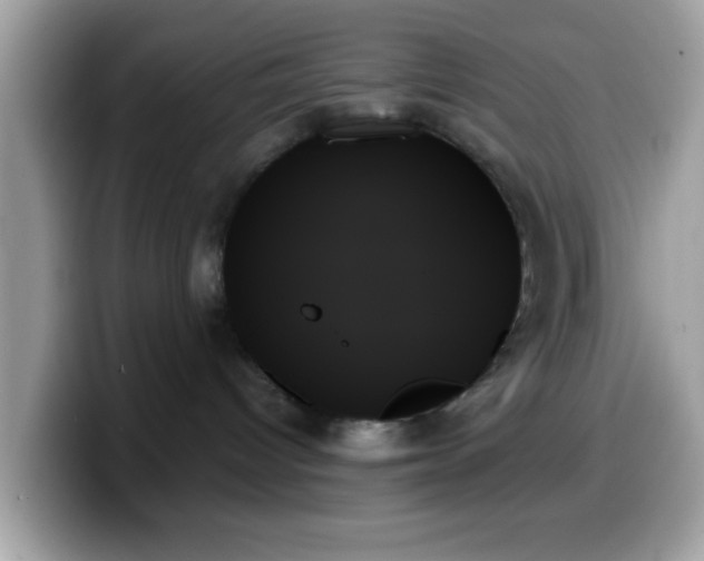 X0000099950096200805301244