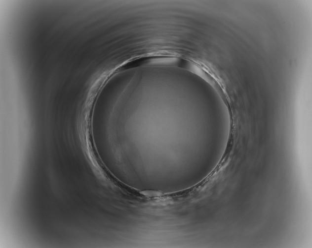X0000099950097200805301243