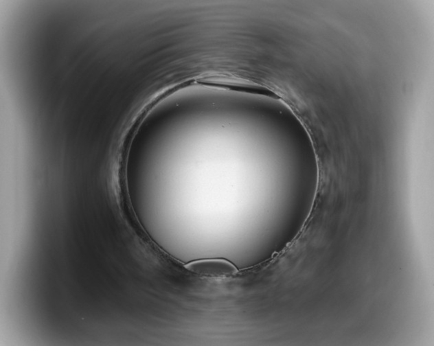 X0000099950098200805301243
